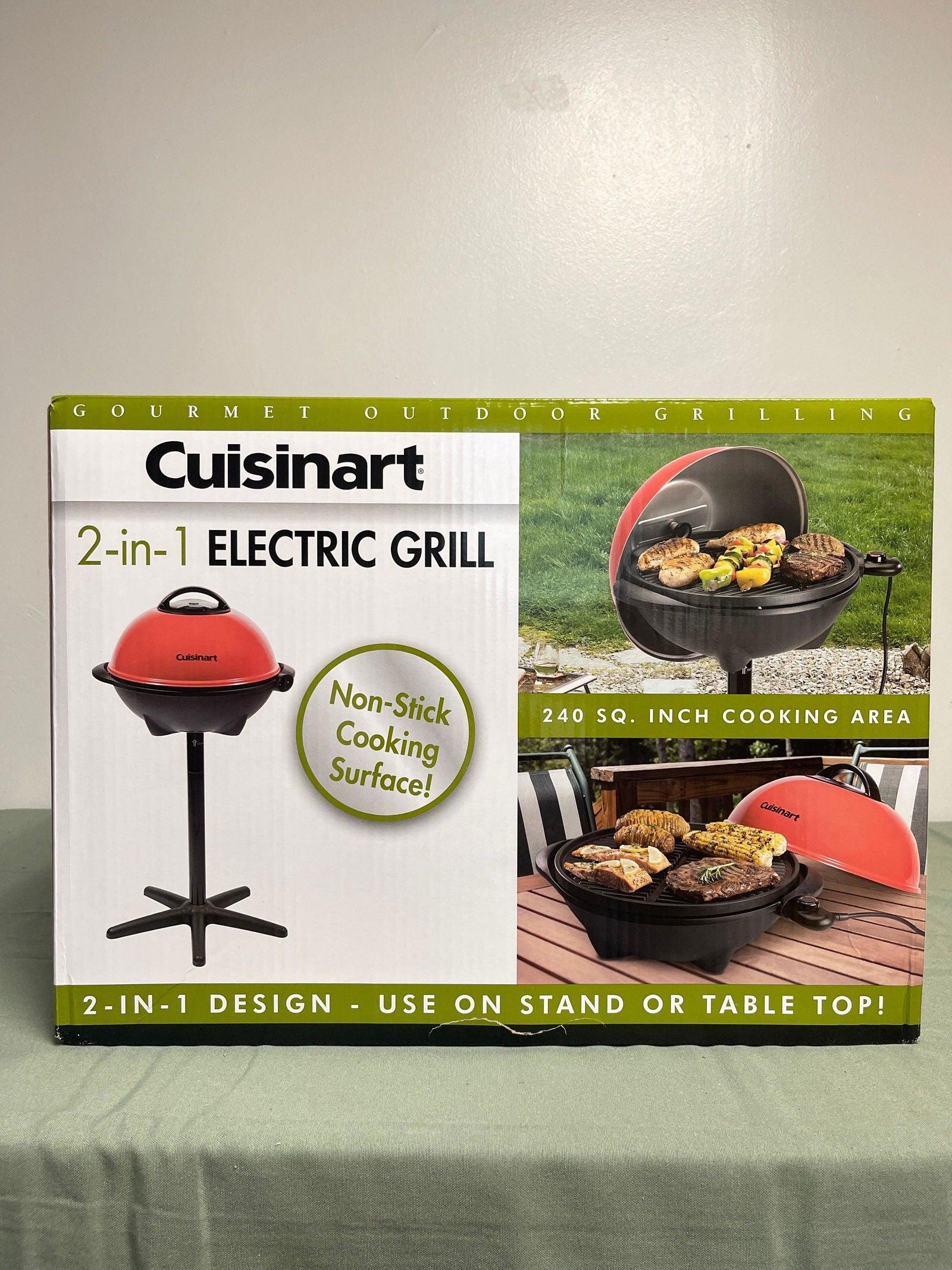 2-in-1 Outdoor Electric Grill - EZ Does It