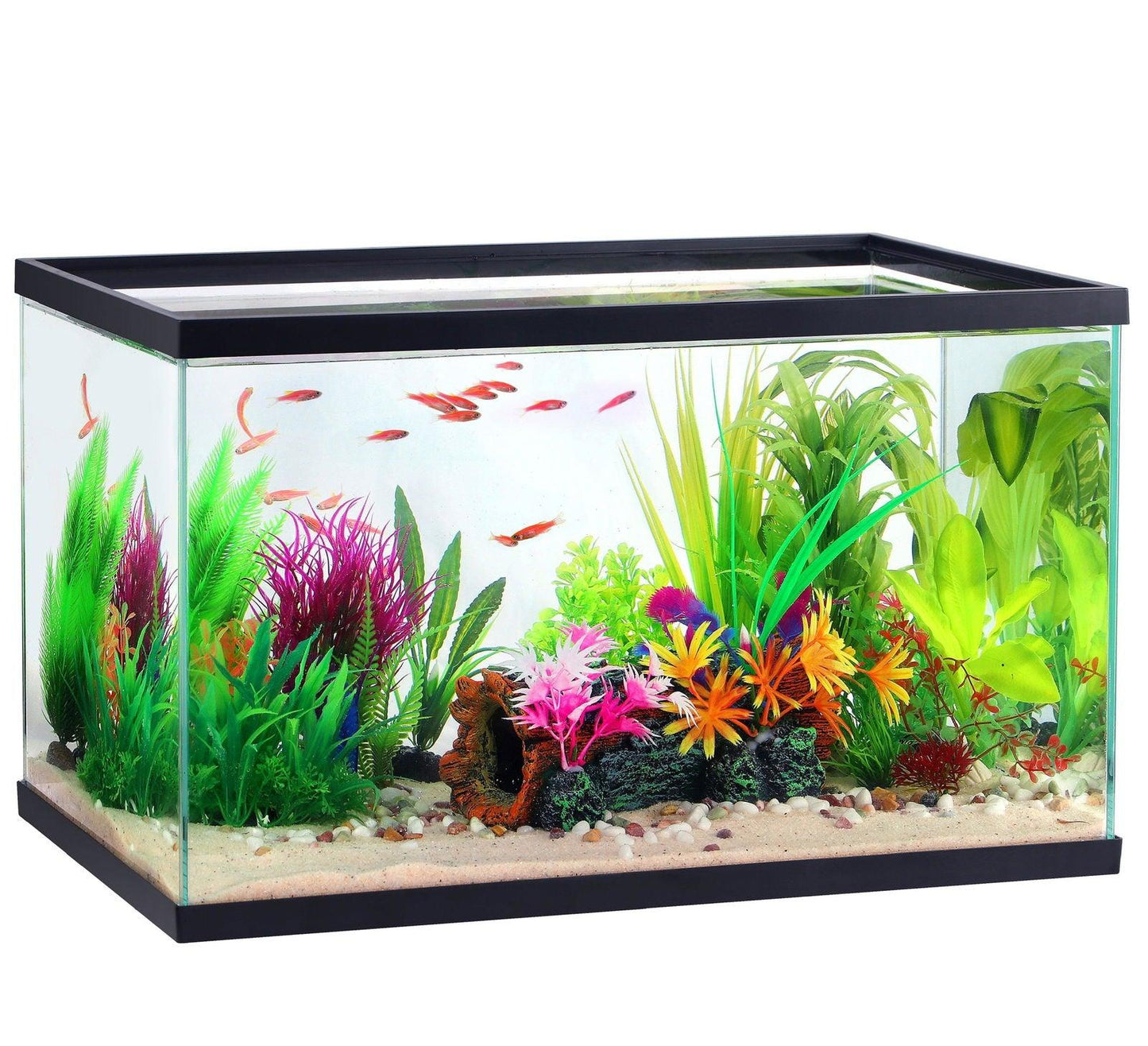 Aqua Culture 10 Gallon Transparent Glass Tank - EZ Does It