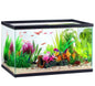 Aqua Culture 10 Gallon Transparent Glass Tank - EZ Does It