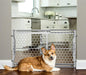 Carlson Easy Fit Pet Gate - EZ Does It